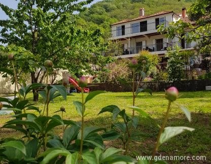 Apartments "Đule" Morinj, private accommodation in city Morinj, Montenegro - Dvoriste (9)